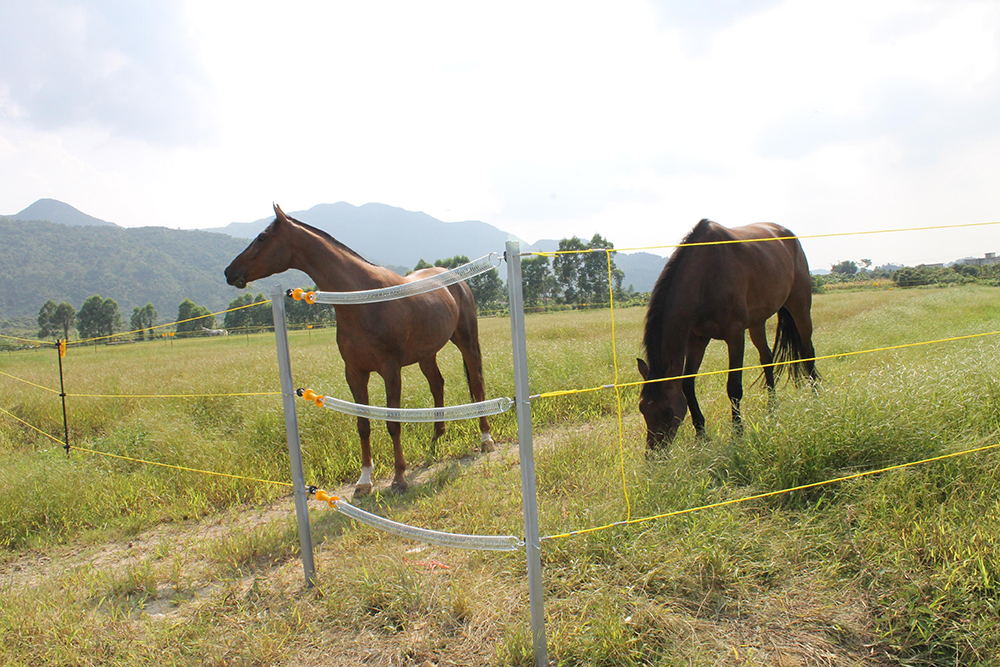 牧場電子圍欄案例